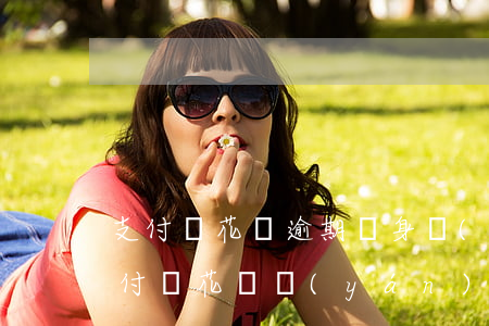 支付寶花唄逾期親身經(jīng)歷-支付寶花唄嚴(yán)重逾期