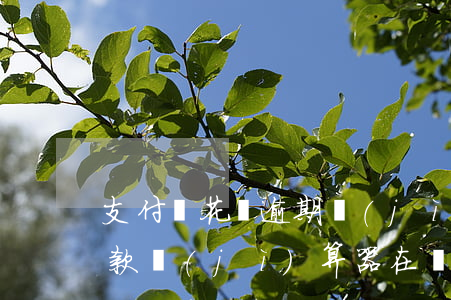 支付寶花唄逾期計(jì)算器(花唄最低還款計(jì)算器在線)