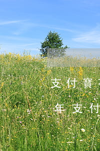 支付寶花唄逾期記錄會自動消除嗎(2018年支付寶花唄逾期記錄能修復(fù)么)