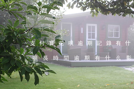支付寶花唄逾期記錄有什么影響-支付寶花唄長時間逾期有什么影響