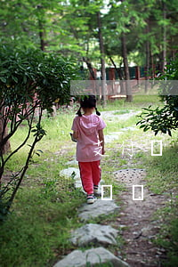 支付寶花唄逾期該找誰(支付寶借唄逾期處理電話)