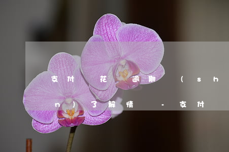 支付寶花唄逾期說(shuō)上門(mén)了解情況-支付寶花唄逾期說(shuō)上門(mén)了解情況是真的嗎