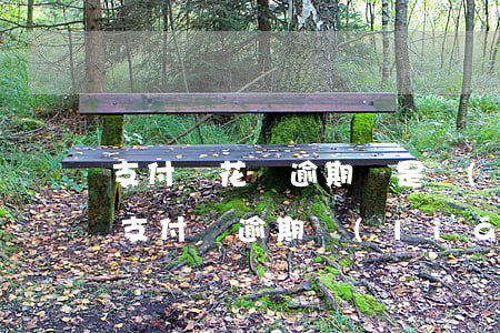 支付寶花唄逾期說是聯(lián)系村委（支付寶逾期聯(lián)系村委了）