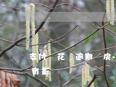 支付寶花唄逾期買房-支付寶花唄逾期買房有影響嗎