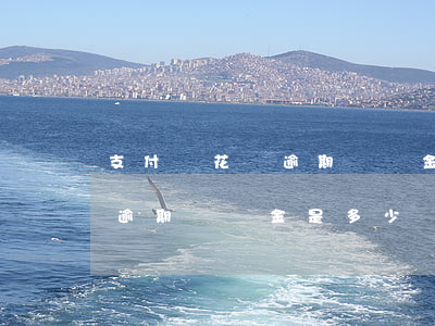 支付寶花唄逾期賠償金是多少-支付寶花唄逾期賠償金是多少錢