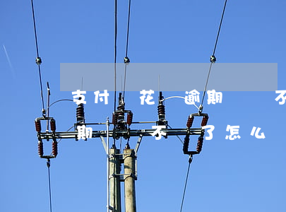 支付寶花唄逾期賬單不見了-支付寶花唄逾期賬單不見了怎么辦