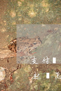 支付寶花唄逾期起訴了,怎么辦（花唄逾期準備起訴怎么辦）