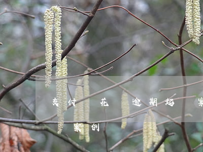 支付寶花唄逾期起訴案例(支付寶花唄逾期起訴案例)