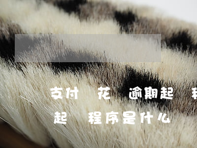 支付寶花唄逾期起訴程序-支付寶花唄逾期起訴程序是什么
