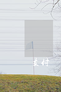支付寶花唄逾期起訴程序