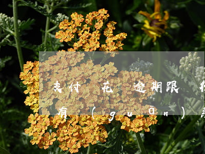 支付寶花唄逾期跟銀行信用有沒(méi)有關(guān)系-支付寶花唄逾期跟銀行信用有沒(méi)有關(guān)系啊