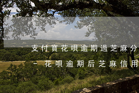 支付寶花唄逾期過芝麻分怎么恢復(fù)-花唄逾期后芝麻信用什么時候能漲回去