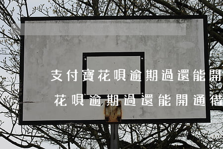 支付寶花唄逾期過還能開通借唄嗎-支付寶花唄逾期過還能開通借唄嗎