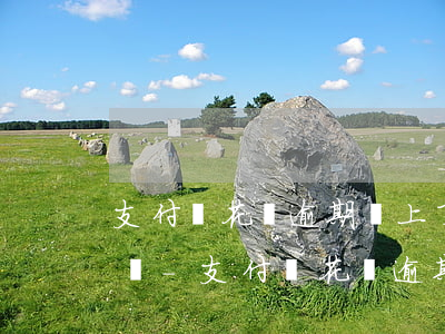 支付寶花唄逾期還上了會(huì)上征信嗎-支付寶花唄逾期了然后還款了,上征信嗎