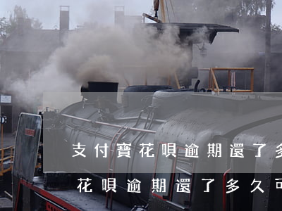 支付寶花唄逾期還了多久可以使用-支付寶花唄逾期還了多久可以使用借唄
