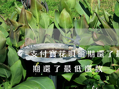 支付寶花唄逾期還了最低還款（支付寶花唄逾期還了最低還款）