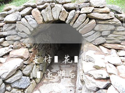 支付寶花唄逾期還了還有花唄不-支付寶花唄逾期后怎么還