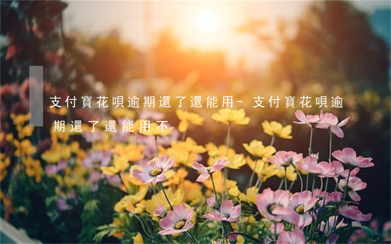 支付寶花唄逾期還了還能用-支付寶花唄逾期還了還能用不