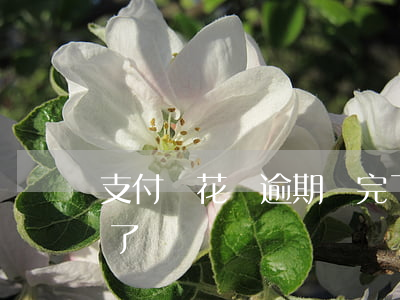 支付寶花唄逾期還完了(支付寶花唄逾期還完了)
