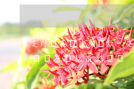 支付寶 花唄逾期還款-支付寶花唄逾期還款 對買房貸款有影響嗎