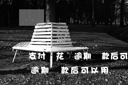 支付寶花唄逾期還款后可以用嗎(支付寶花唄逾期還款后可以用嗎)