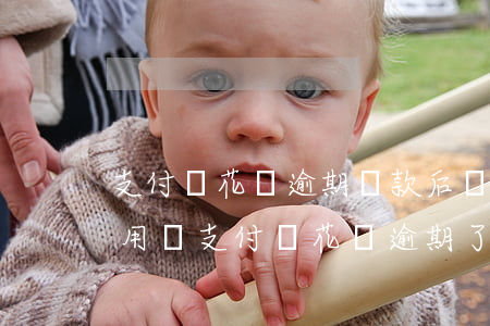 支付寶花唄逾期還款后還能繼續(xù)使用嗎（支付寶花唄逾期了還上還能用嗎）