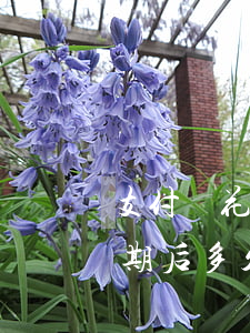 支付寶花唄逾期還款多久能用(支付寶花唄逾期后多久能用)