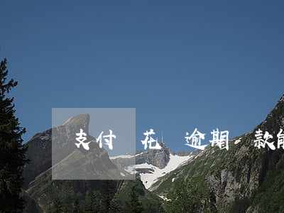 支付寶花唄逾期還款能延長(zhǎng)嗎
