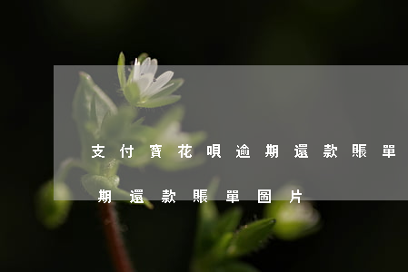 支付寶花唄逾期還款賬單圖片(支付寶花唄逾期還款賬單圖片)