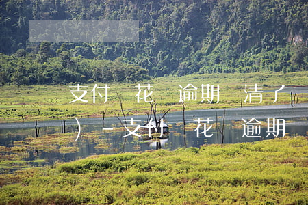 支付寶花唄逾期還清了,為啥還凍結(jié)-支付寶花唄逾期還清了,為啥還凍結(jié)余額