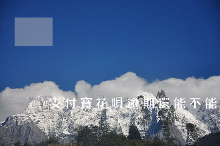 支付寶花唄逾期還能不能辦信用卡
