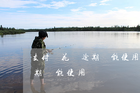 支付寶花唄逾期還能使用嗎-支付寶花唄逾期還能使用嗎