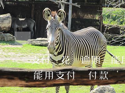 支付寶花唄逾期還能用-支付寶花唄逾期還能用支付寶付款嗎?