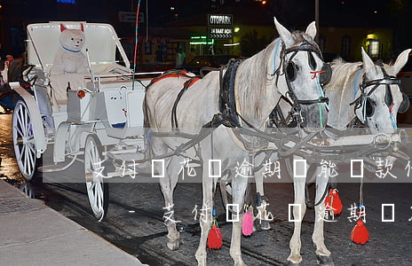支付寶花唄逾期還能貸款什么平臺(tái)-支付寶花唄逾期還能貸款什么平臺(tái)啊
