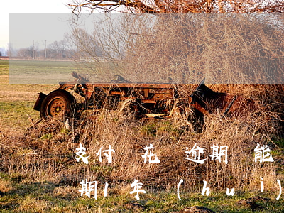 支付寶花唄逾期還能辦稅票么(支付寶花唄逾期1年會(huì)不會(huì)影響購(gòu)票)