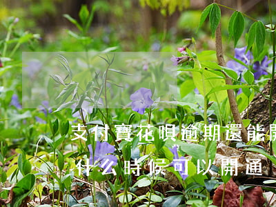 支付寶花唄逾期還能開通嘛(支付寶花唄逾期什么時候可以開通)