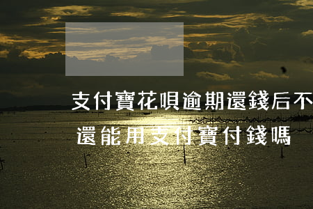 支付寶花唄逾期還錢后不能用了(花唄逾期了還能用支付寶付錢嗎)
