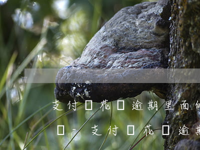 支付寶花唄逾期里面的錢會(huì)扣掉嗎-支付寶花唄逾期里面的錢會(huì)扣掉嗎安全嗎