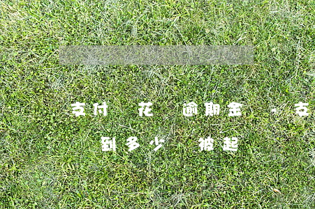 支付寶花唄逾期金額-支付寶花唄逾期金額達到多少會被起訴