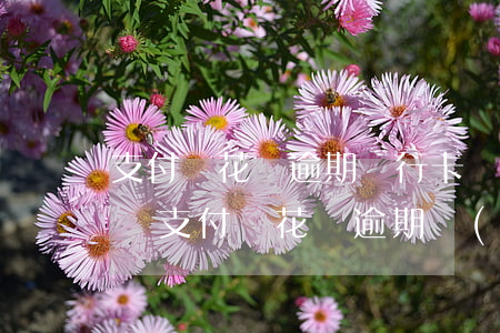 支付寶花唄逾期銀行卡會(huì)被扣款嗎(支付寶花唄逾期會(huì)不會(huì)自動(dòng)扣銀行卡的錢)