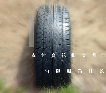 支付寶花唄逾期開通淘寶不能用(支付寶花唄沒有逾期為什么花唄不能用了)