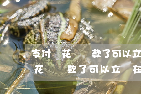支付寶花唄還款了可以立馬在借嗎-支付寶花唄還款了可以立馬在借嗎安全嗎