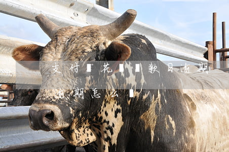 支付寶花唄還款日逾期-支付寶花唄還款日逾期怎么辦