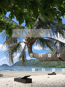 支付寶花唄還款會有逾期嗎(支付寶花唄還款會有逾期嗎)