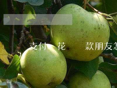支付寶花唄還款朋友怎么幫忙還-