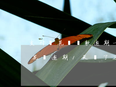支付寶花唄還款逾期一天怎么處理-支付寶花唄逾期1天還了之后還了影響征信嗎