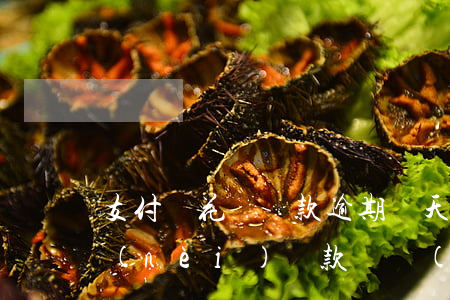 支付寶花唄還款逾期兩天(花唄在逾期三天內(nèi)還款還會(huì)不會(huì)有不良記錄)
