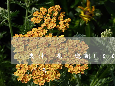 支付寶花壩逾期100天-支付寶花壩逾期一天