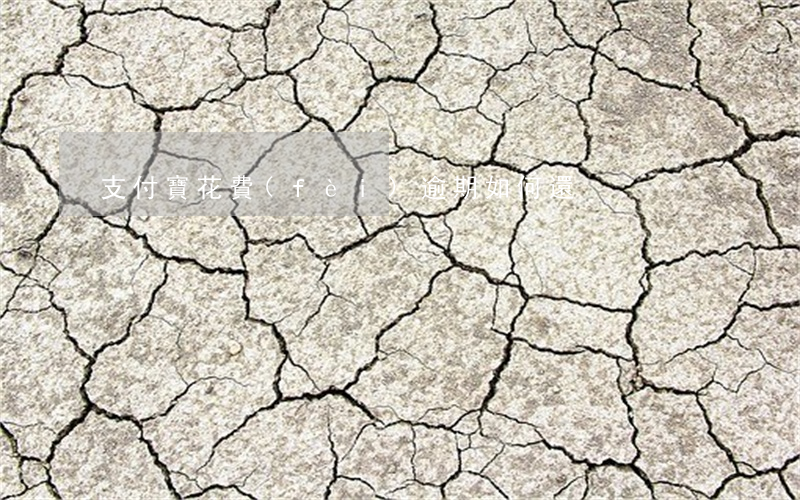 支付寶花費(fèi)逾期如何還