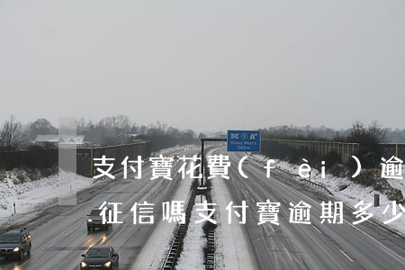 支付寶花費(fèi)逾期會(huì)上征信嗎(支付寶逾期多少錢(qián)會(huì)上征信)